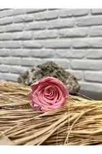 Solmayan Gül (6’lı kutu) Yavzuağzı Renk