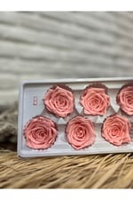 Solmayan Gül (6’lı kutu) Yavzuağzı Renk
