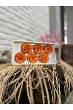 Turuncu Solmayan Gül (6lı kutu)