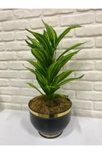 Yapay Aglaonema Bitkisi – Dekoratif Yapay Yeşil Bitki 70 cm