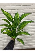 Yapay Aglaonema Bitkisi – Dekoratif Yapay Yeşil Bitki 70 cm