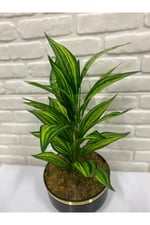 Yapay Aglaonema Bitkisi – Dekoratif Yapay Yeşil Bitki 70 cm