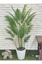 Yapay Areka Palm 190cm Beyaz Saksılı