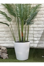 Yapay Areka Palm 190cm Beyaz Saksılı
