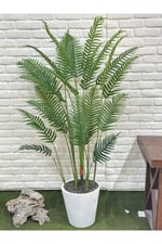 Yapay Areka Palm 190cm Beyaz Saksılı
