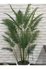 Yapay Areka Palm 190cm Beyaz Saksılı