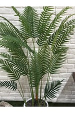 Yapay Areka Palm 190cm Beyaz Saksılı