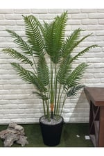 Yapay Areka Palm Siyah Saksılı