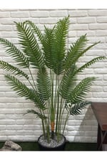 Yapay Areka Palm Siyah Saksılı