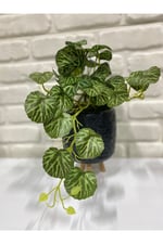 Yapay Damarlı Yuvarlak Yaprak Sarkıt Bitki – Yeşil Dekoratif Yapay Sarmaşık35 cm