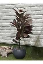 Yapay Kauçuk Bitkisi Koyu (100cm)