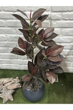 Yapay Kauçuk Bitkisi Koyu (100cm)