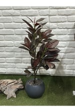 Yapay Kauçuk Bitkisi Koyu (100cm)