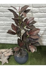 Yapay Kauçuk Bitkisi Koyu (100cm)