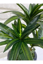 Yapay Koyu Yeşil Dracaena Dalı – Dekoratif Yapay Bitki – 3 Dallı