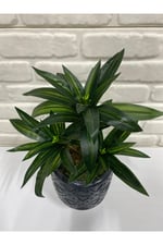 Yapay Koyu Yeşil Dracaena Dalı – Dekoratif Yapay Bitki – 3 Dallı