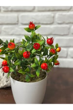 Yapay Mini Nar Bitkisi
