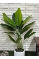 Yapay Muz Ağacı 180cm Beyaz Saksılı