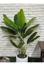 Yapay Muz Ağacı 180cm Beyaz Saksılı