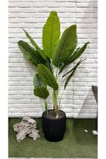 Yapay Muz Ağacı 180cm Siyah Saksıda