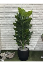 Yapay Singonyum Ağacı 180cm (saksı ile)