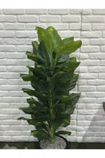 Yapay Singonyum Ağacı 180cm (saksı ile)
