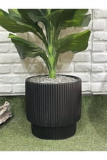 Yapay Singonyum Ağacı 180cm (saksı ile)