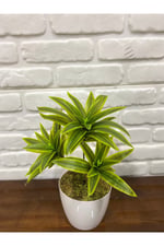 Yapay Yeşil Dracaena Dalı – Dekoratif Yapay Bitki – 3 Dallı