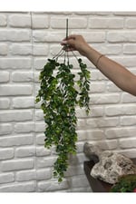 Yeşil Sarkıt Şimşir Bitkisi (yapay sarmaşık,sarkıt)