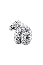 Görkemli Ejderha Charm