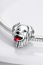 Gülümseyen Köpek Charm