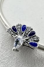 Tavus Kuşu İmgeli Charm