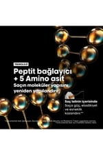 absolut-repair-molecular-tum-yipranmis-445dc5.jpg