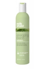 milk_shake-energizing-blend-ince-sacla-db6c56.jpg