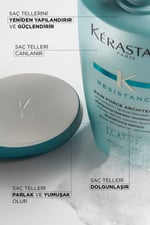 resistance-bain-force-architecte-zayif-11f7c3.jpg