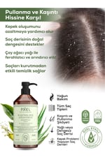 scalp-balance-anti-dandruff-shampoo-10-9bc1fb.jpg