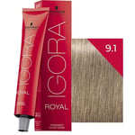 Schwarzkopf Igora Royal Saç Boyası 9.1 Sandre Sarı 60 ml