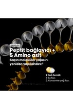 serie-expert-absolut-repair-molecular--d-42f7.jpg