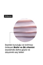 serie-expert-inforcer-kirilma-karsiti--dca81b.jpg