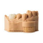 Alias Dental Crown Reçine - 250GR