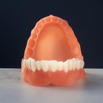 Alias Dental Denture Reçine - 1KG