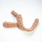 Alias Dental Model Ortho (SpeedX) Reçine - 0.5KG