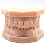 Alias Dental Model Precise Reçine - 1KG