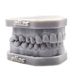 Alias Dental Model Precise Reçine - 1KG