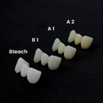 Alias Dental Temp C&B Reçine - 1KG