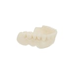 Alias Dental Try-In Reçine - 1KG