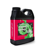 Phrozen Döküm Reçinesi Dental Green - 0.5KG
