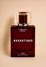 Magnetique Erkek Parfüm 50ml