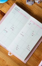 Victoria's Journals Charm-Kuş, Tarihsiz Planlayıcı 9X19 Cm,80  Yap, 100 Gr.Ivory.- Pembe