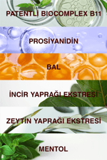 Forte Şampuan Tüm Saç Tipleri Için 3x300ml - Yoğun Dökülme Şampuanı Avantajlı Paket